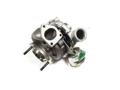 Turbos Moteur TD5