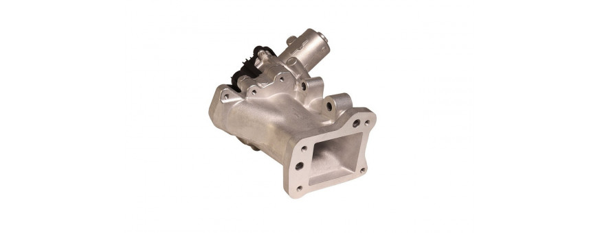 EGR Freelander 2