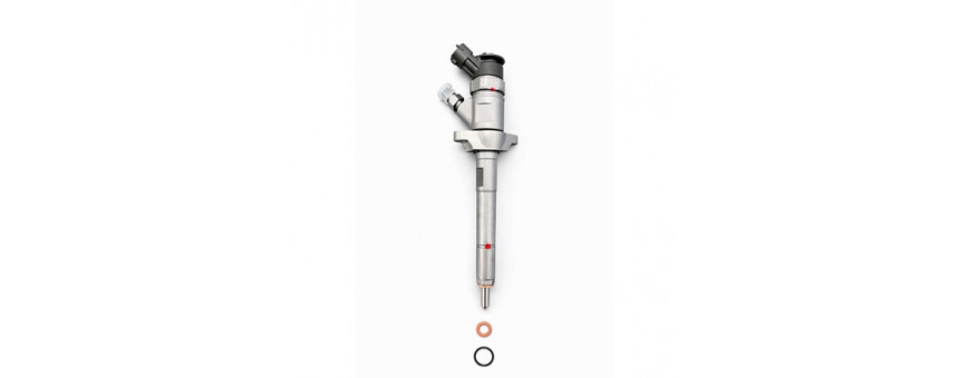 Injecteur Freelander 2