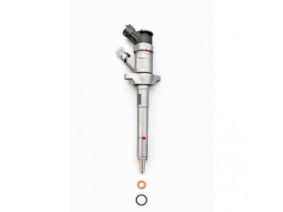 Injecteur Freelander 2