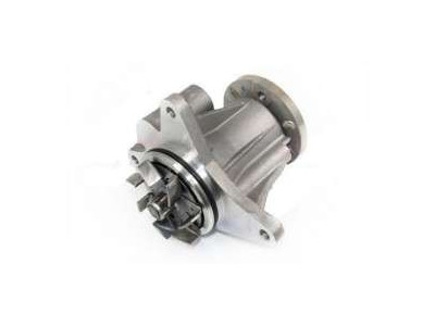 Pompes à eau Discovery 4