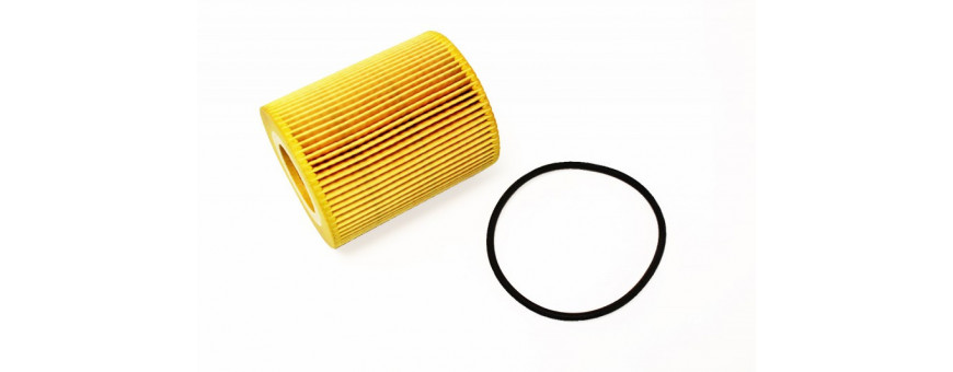 Filtres à Huile Discovery 5